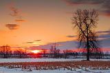 Sunrise Snowscape_14706